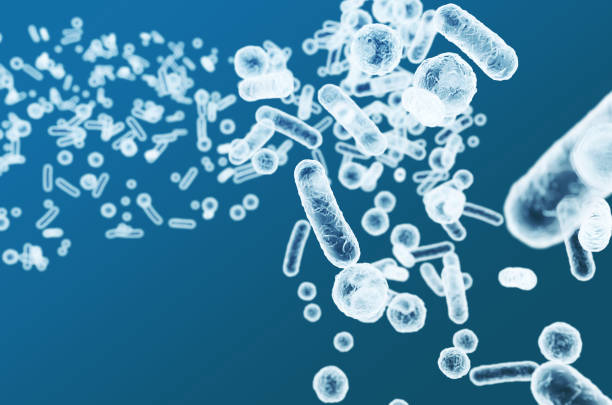 istock Enterobacteriaceae, gram-negative rod-shaped bacteria, part of intestinal microbiome and causative agents of different infections, 3D rendering. Escherichia coli, Klebsiella, Enterobacter and other 1672446840