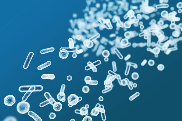 istock Enterobacteriaceae, gram-negative rod-shaped bacteria, part of intestinal microbiome and causative agents of different infections, 3D rendering. Escherichia coli, Klebsiella, Enterobacter and other 1672447375