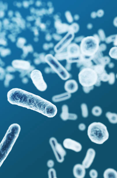 istock Enterobacteriaceae, gram-negative rod-shaped bacteria, part of intestinal microbiome and causative agents of different infections, 3D rendering. Escherichia coli, Klebsiella, Enterobacter and other 1672447625