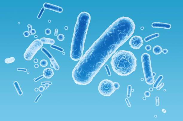 Enterobacteriaceae, gram-negative rod-shaped bacteria, part of intestinal microbiome and causative agents of different infections, 3D rendering. Escherichia coli, Klebsiella, Enterobacter and other