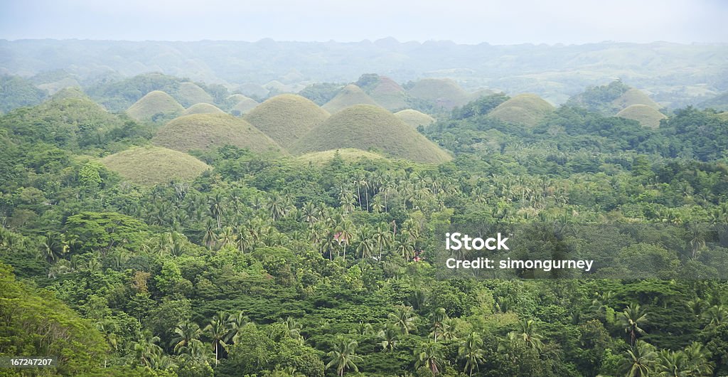 panorama delle Colline di bohol chocoltae Filippine - Foto stock royalty-free di Ambientazione esterna