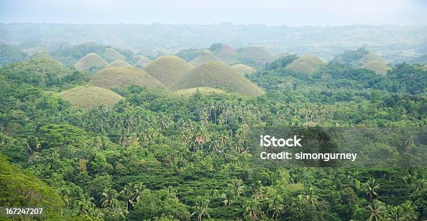 Panorama Delle Colline Di Bohol Chocoltae Filippine - Fotografie stock e altre immagini di Ambientazione esterna