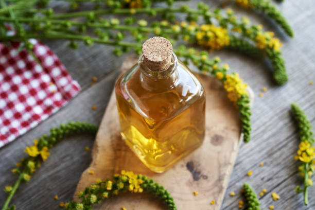 Homemade tincture with fresh blooming agrimony A bottle of herbal tincture with fresh blooming agrimony plant argimony\ stock pictures, royalty-free photos & images