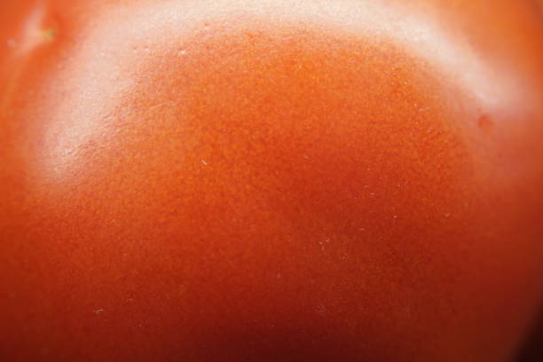 Tomato skin close up view , red tomato skin texture
