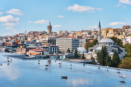 Istanbul, Turkey - September 10, 2023: Galata view from terrace of Istanbul Modern Art Museum with seagulls in the reflection pool
