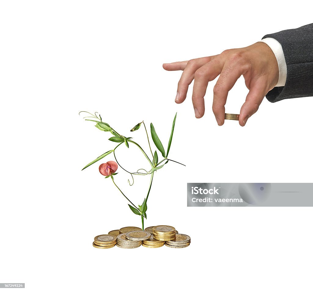 Investing to green business Adult Stock Photo