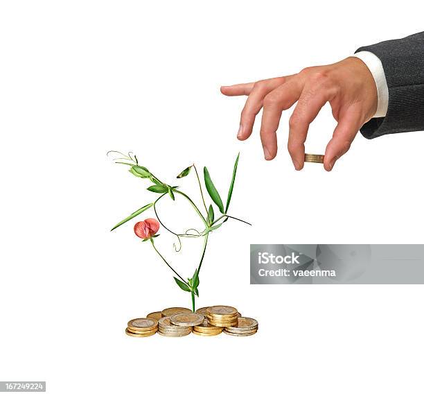 Investing To Green Business Stock Photo - Download Image Now - Adult, Business, Businessman