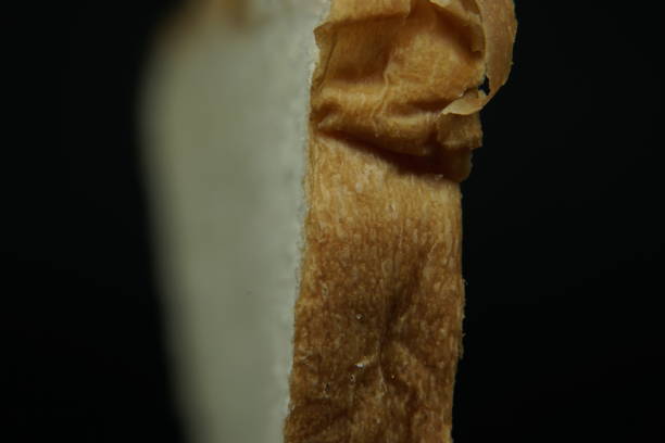 bread slice - single toast crust close-up - isolated on black