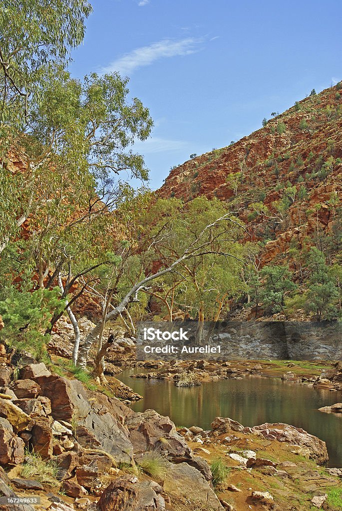 Krajobraz centrum Australia - Zbiór zdjęć royalty-free (Alice Springs)