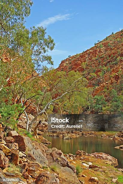 Paisagem Central Da Austrália - Fotografias de stock e mais imagens de Ajardinado - Ajardinado, Alice Springs, Ao Ar Livre