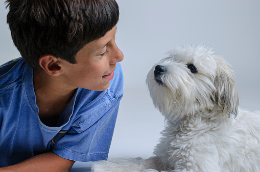 Young boy and his small white dog, on a seamless background.