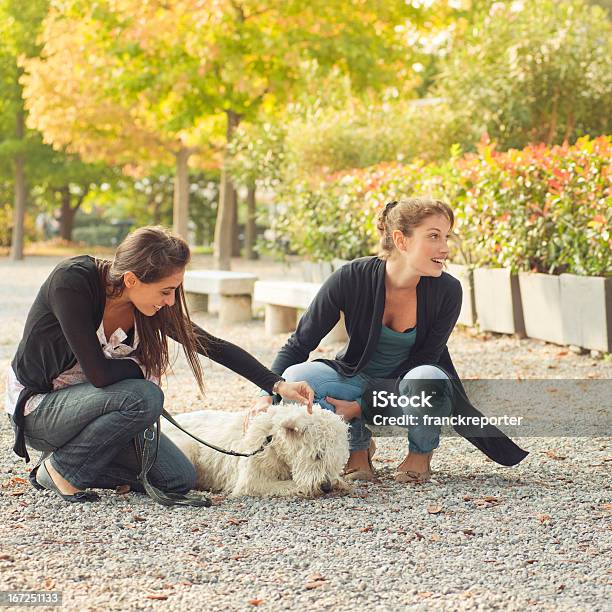 Weibliche Freunde Entspannend Mit Hund Im Park Stockfoto und mehr Bilder von 20-24 Jahre - 20-24 Jahre, Baum, Braunes Haar