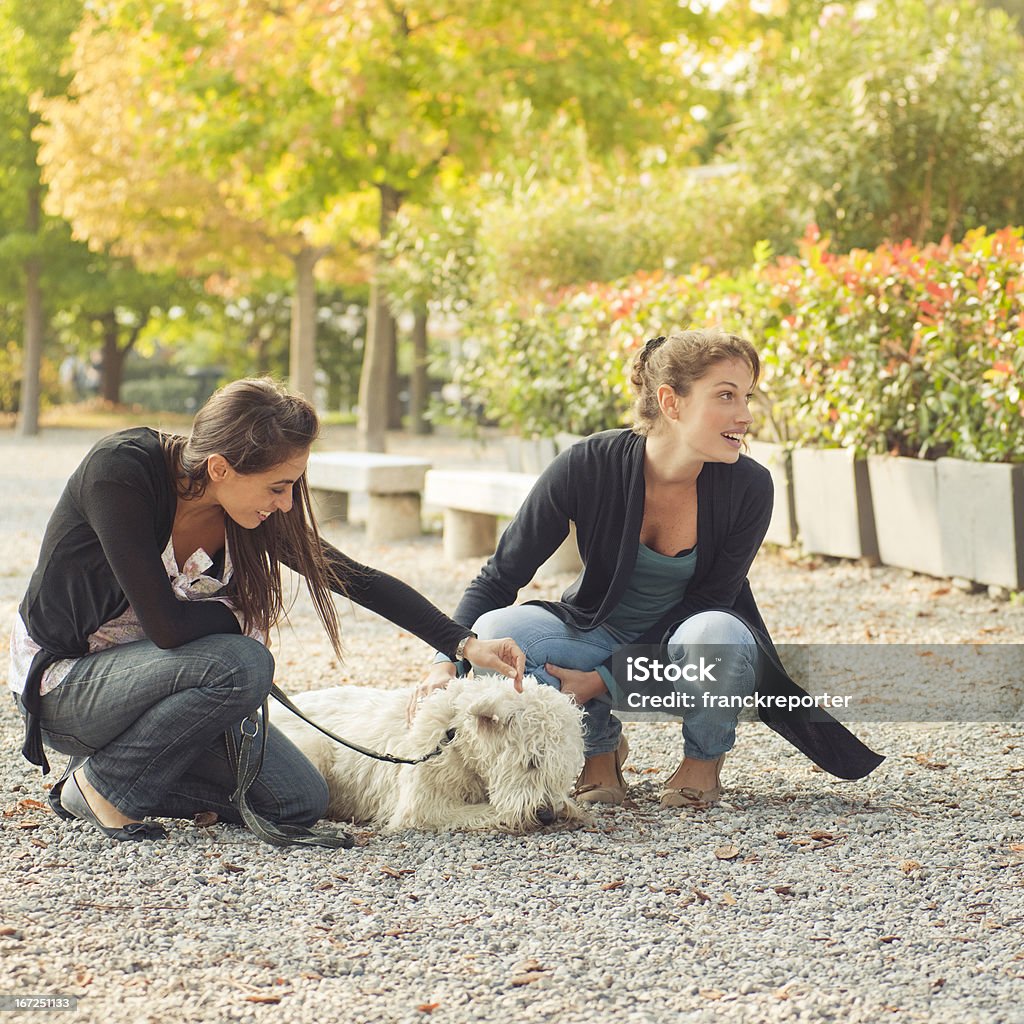 Женский друзья расслабляющий с собакой в парке - Стоковые фото 20-24 года роялти-фри