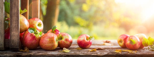 istock Autumn And Harvest Concept 1672513279