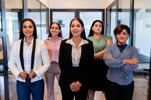 Portrait of a team of businesswomen at office
