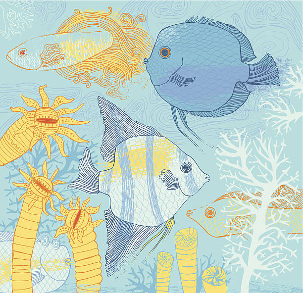 illustrations, cliparts, dessins animés et icônes de poisson - fish tank