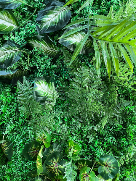 istock Full frame image of wall feature of hanging plastic, artificial houseplants, tropical foliage, fake ferns, Maidenhair fern, mosses, home decor backdrop concept 1672530828
