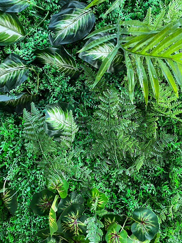 Stock photo showing an artificial living wall, greenery backdrop with plastic leaves of fake plants hanging on feature wall. The plants are maintenance free and are ideal for outdoor or indoor decoration. Home decor concept.