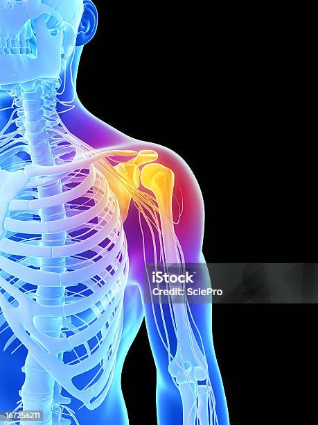 Bolesne Ramię - zdjęcia stockowe i więcej obrazów Anatomia człowieka - Anatomia człowieka, Bez ludzi, Biologia - Nauka