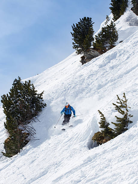 Skier making turn between trees stock photo