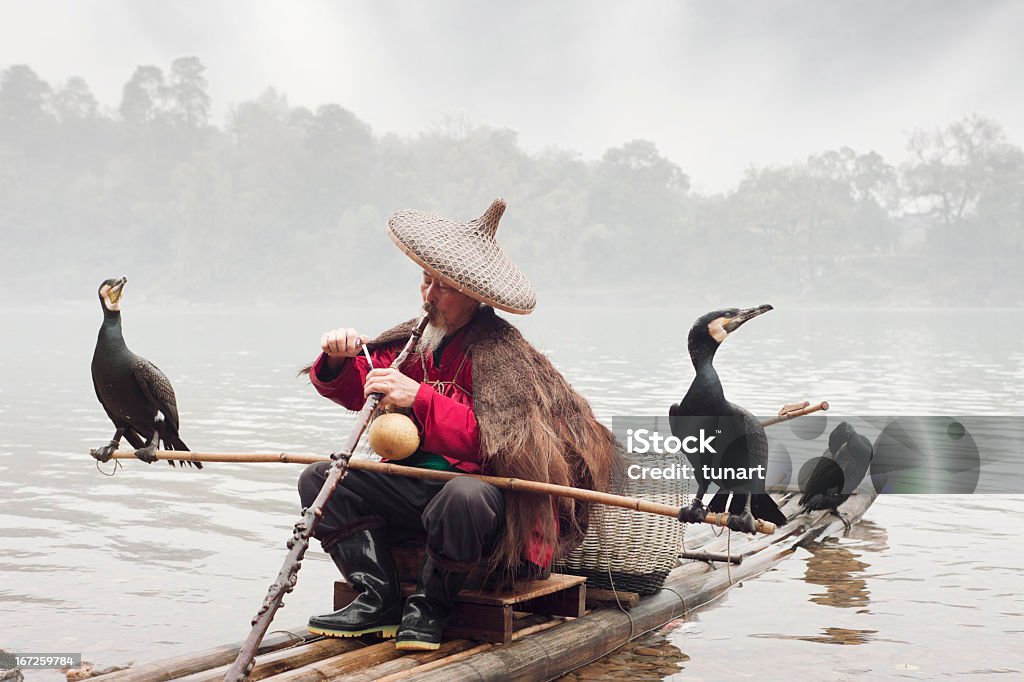 Chinês pescador com sua Cormorants - Royalty-free Corvo-marinho Foto de stock