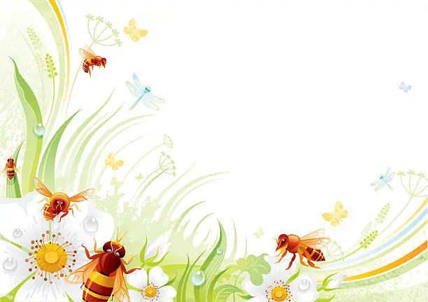 Vector illustration of Butterfly background with copyspace: bees and wild roses