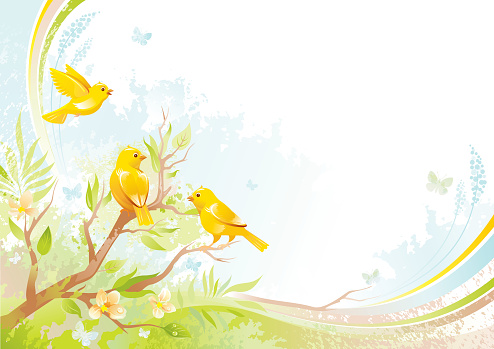 Butterfly and birds background with copyspace: canaries