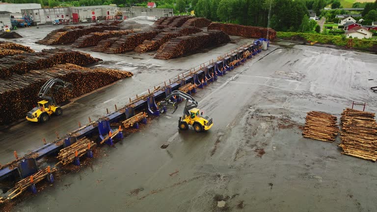 Log loaders in Braskereidfoss move among massive piles of timber logs, aerial