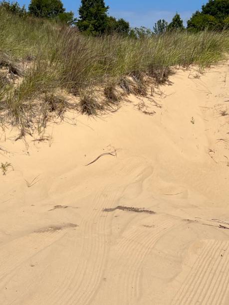 istock Dune ride in Saugatuck, Michigan. 1672647686