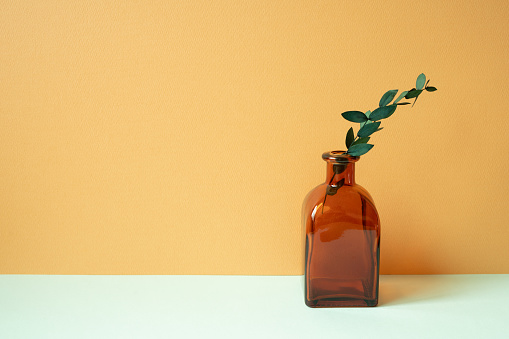 Brown glass vase of eucalyptus leaf on mint green table. orange wall background