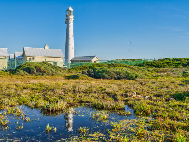 маяк слангкоп и его отражение в воде ясным днем, комметжие, кейптаун, южная африка - slangkop стоковые фото и изображения