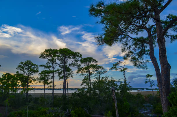 istock Orange Beach, Alabama - Canal Sunset 1672682617