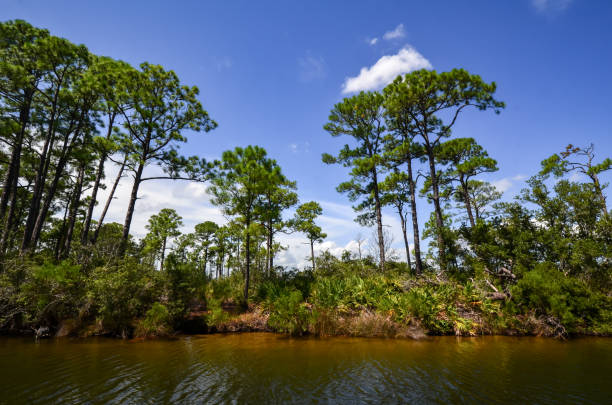 istock Orange Beach, Alabama - Barrie Island 1672685249