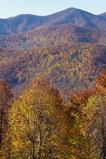 Scenic view of the multicolored deciduous trees and foliage of the Appalachian Mountains of North Carolina in autumn
