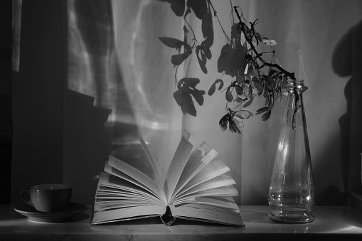 Open Book and a vintage vase with branch and coffee cup,reading,education,learning, international book fair concept, black and white shot