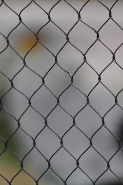 istock Chain linked metal Fence 1672812070