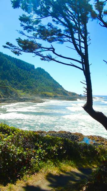 istock pacific waves crash on empty sands at baker beach on the rocky oregon coastline. 1672820096