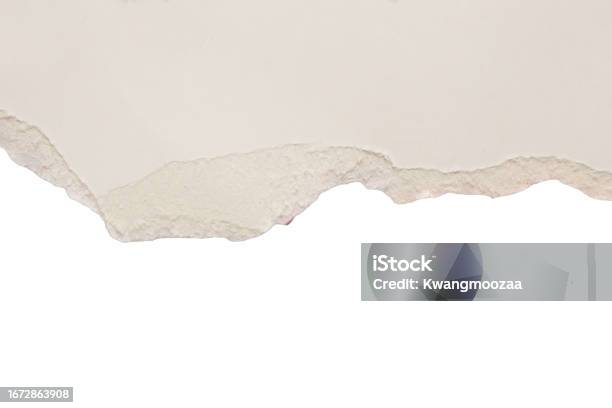 W Ripped Paper White Ripped Paper Torn Edges Strips Isolated On White Background Stock ...