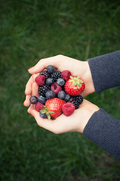 istock Handful of red fruit 167286653