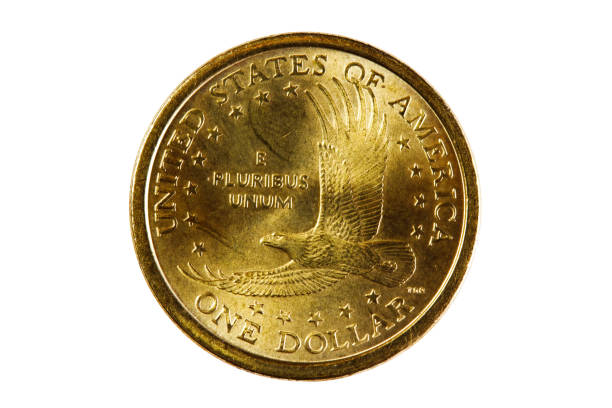 istock Tail Side Of Sacagawea US Gold Coin On White Background 1672885904