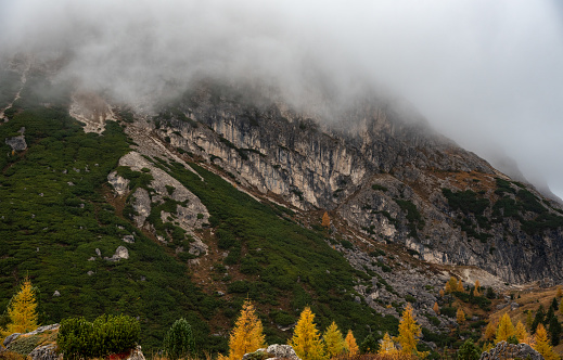 Autumn forest landscape at Passo Falzarego valley. Dolomite mountain range Italy. Fall season Italian apls.