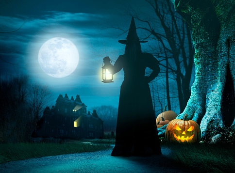 A witch holds a lantern as she stands next to several jack o'lanterns that sit at the base of a gnarled tree while looking out toward a haunted house.