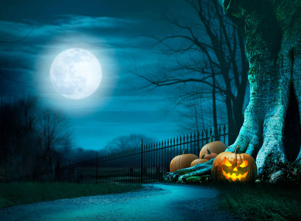 Jack O'Lanterns On Halloween Night - fotografia de stock