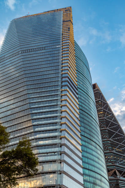 istock Skyscrapers at sunset in Mexico City 1672905651