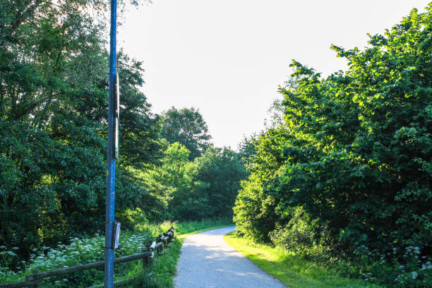 istock Scenic view of forest in rural Germany with empty footpath. 1672922247