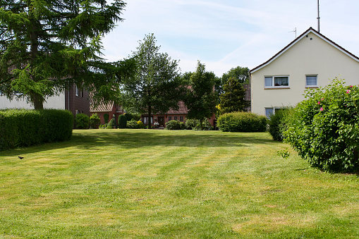 View of green lawn in backyard with houses and trees in sunny summer with clear blue sky background. No people.