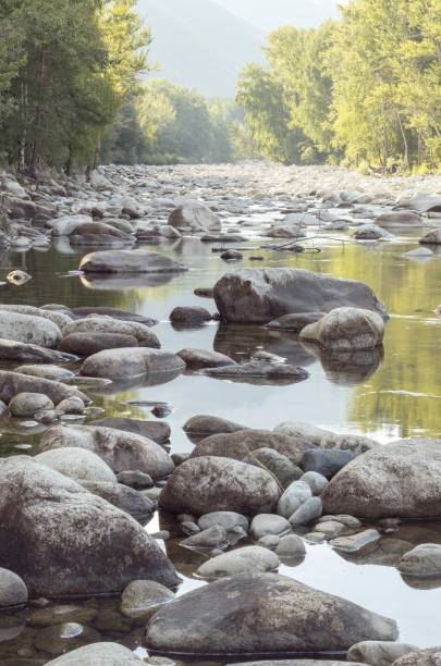 istock large round stones in a mountain river 1672993509