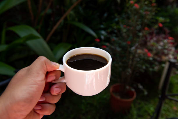 Traditional food of Costa Rica
