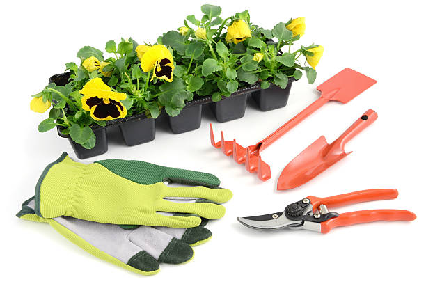 istock yellow pansy in flowerpot with gardening tools 167306909