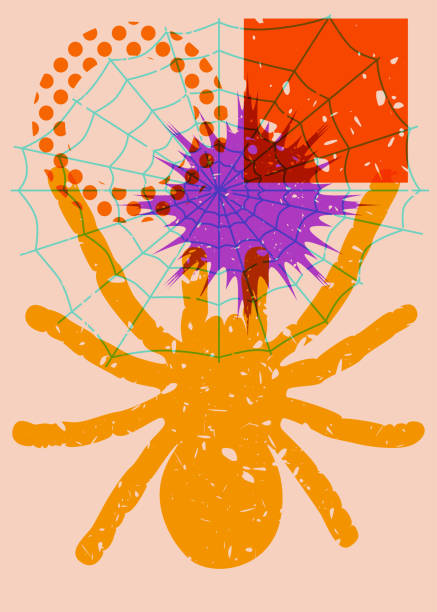 Graphghan Spider 80+ Spider Graph fotos de stock, imagens e fotos royalty-free - iStock